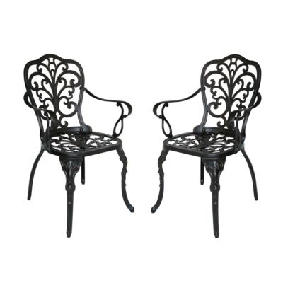 Noble House - Viga Outdoor Dining Chair (Set of 2)